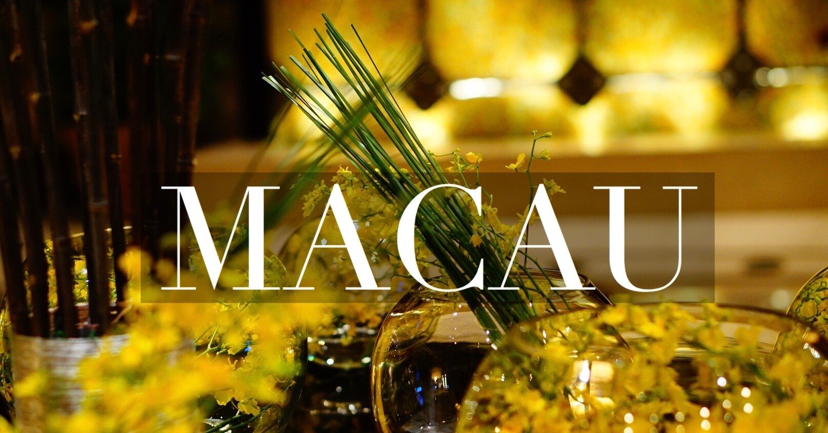 風水と陰陽の力を操り巨額の富を得ているカジノとその秘密について Reila Note