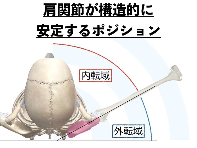 スキャプラプレーン 投球障害予防 理学療法士 井上健太 Note