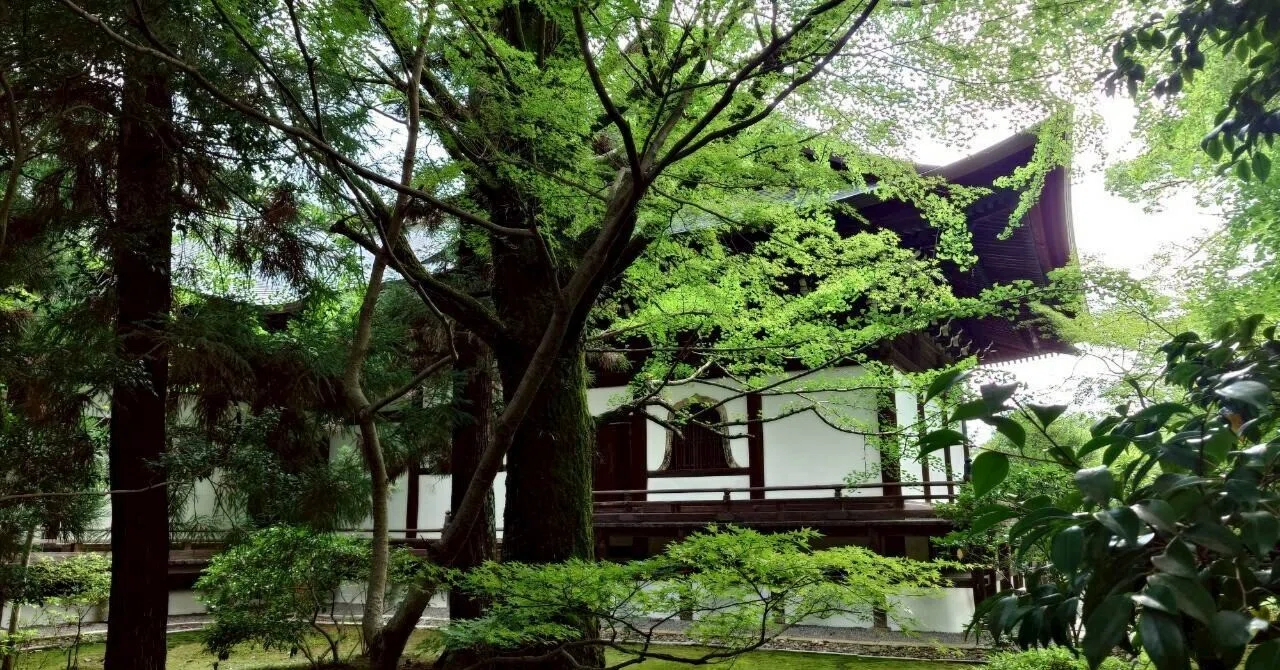 京都 太秦 広隆寺/ 聖徳太子の「国体」を想う】｜彩／にっぽんのこころ