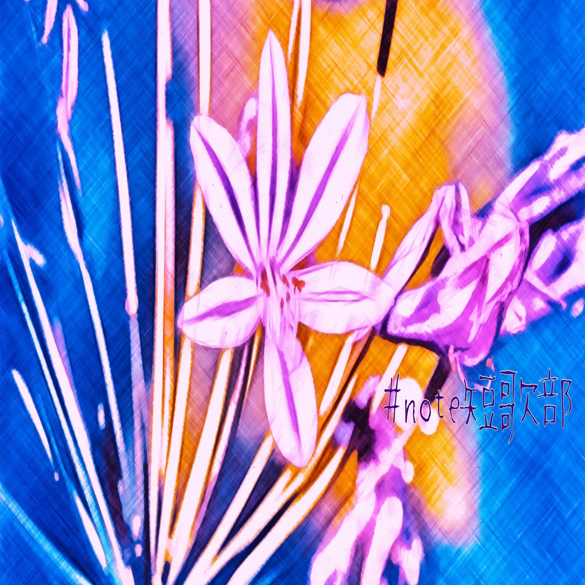 6月25日 誕生花はアガパンサス Note短歌部 御子柴 流歌 Note