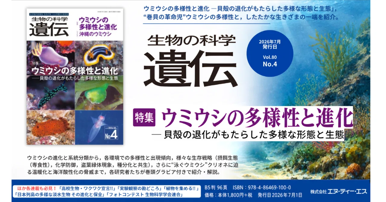 Note生物(2026年) 貝殻を手放した巻貝たち──『生物の科学 遺伝』ウミウシ特集号のご