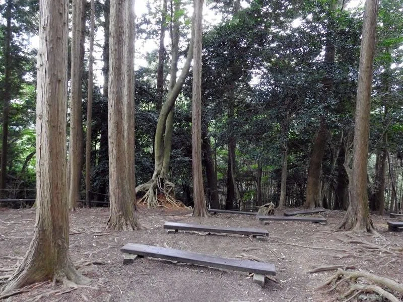 画像4
