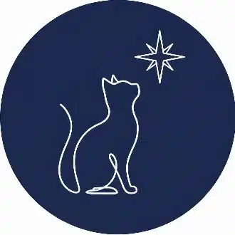星読みエッセイスト 星の猫