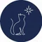 星読みエッセイスト 星の猫