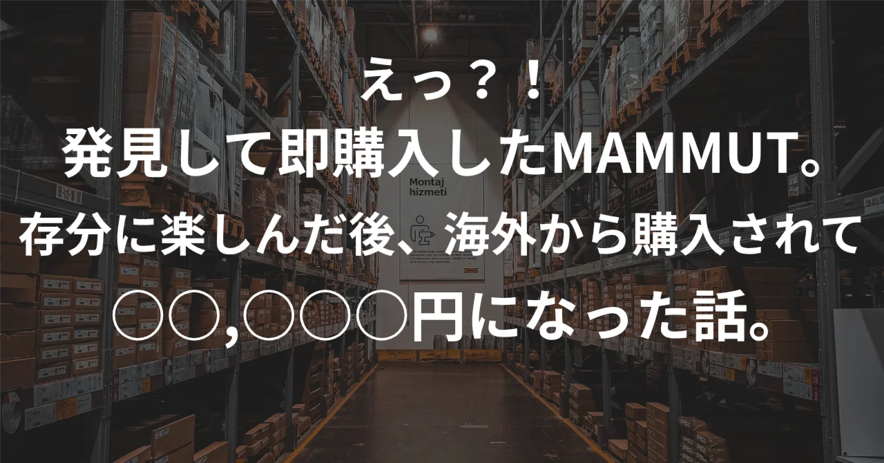 えっ？！発見して即購入したMAMMUT。存分に楽しんだ後、海外から購入