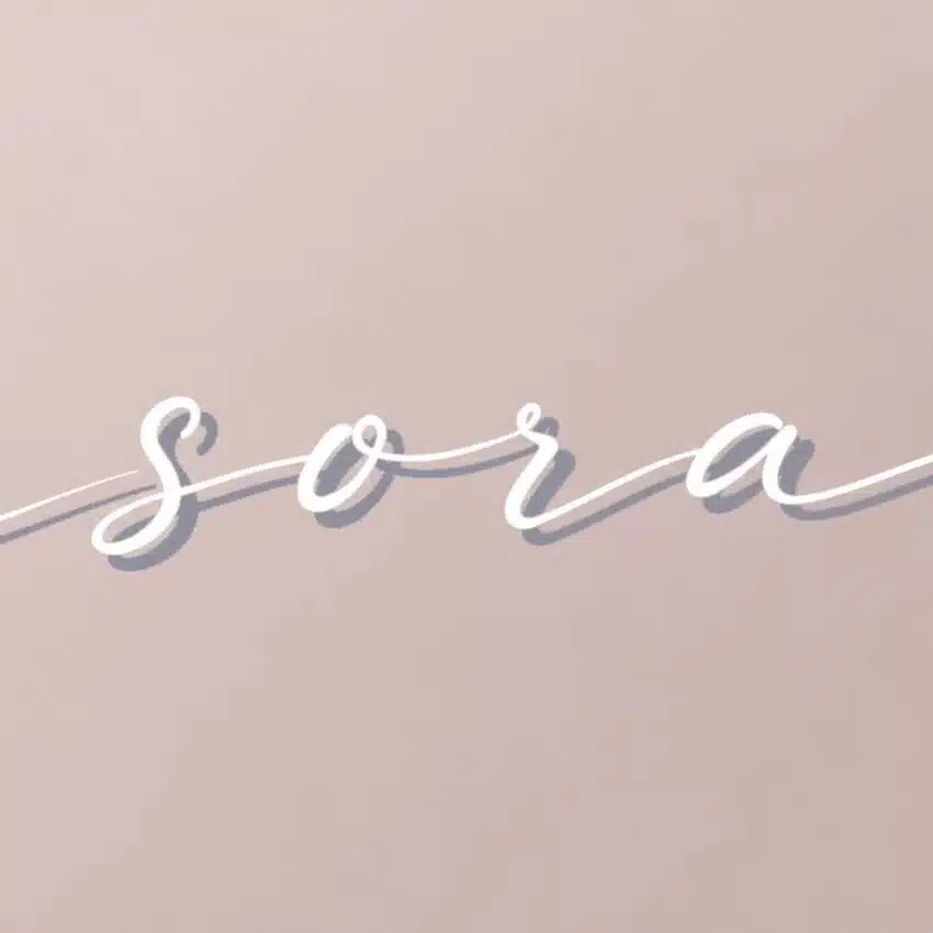 sora 
