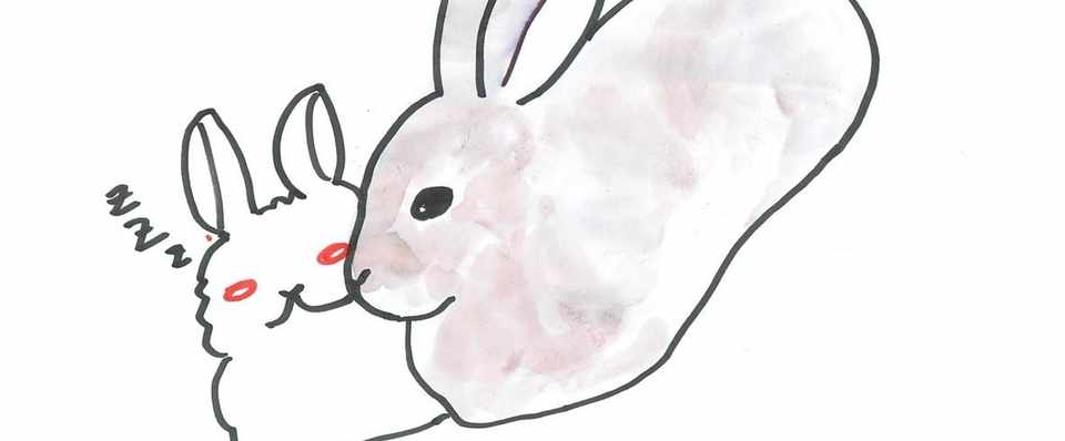 プロが教える 明日からウサギと暮らすための６講座 第6日目 Hare ノウサギ と Rabbit アナウサギ は別の生き物 そうあなたはアナウサギの群れ の一員 ねこセカンドハウスこむぎ 受付停止中 Note