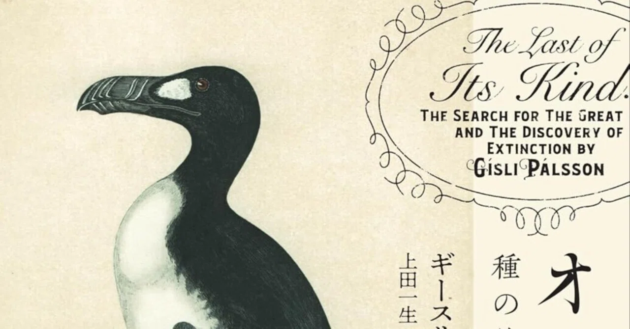 本要約】オオウミガラス 種の絶滅をめぐる物語【解釈・エッセイ】｜pairu