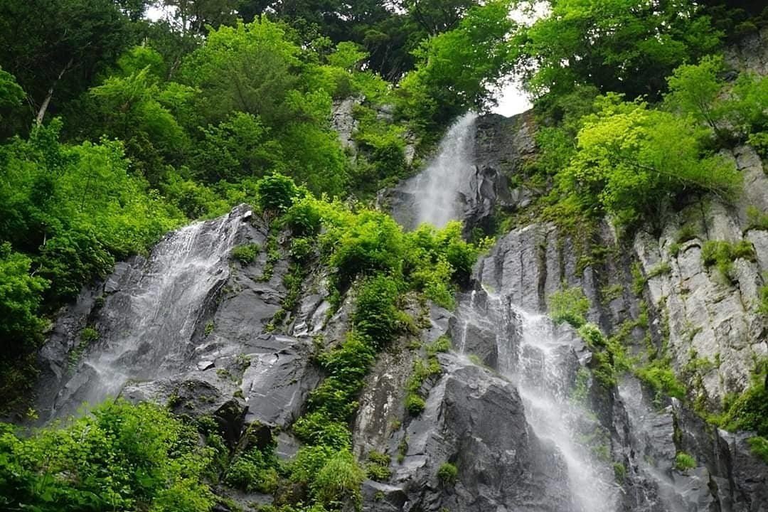 梅雨の晴れ間の五色ヶ原 山は保水し生き生きとしている 暖冬で山雪解けの水は少なく 乾燥した山は 一気に緑が映える 伏流水から吹き出し 流れ落ちる滝の流れは本当に美しい 豪快に 言葉にならない景色だ Masahiko Note