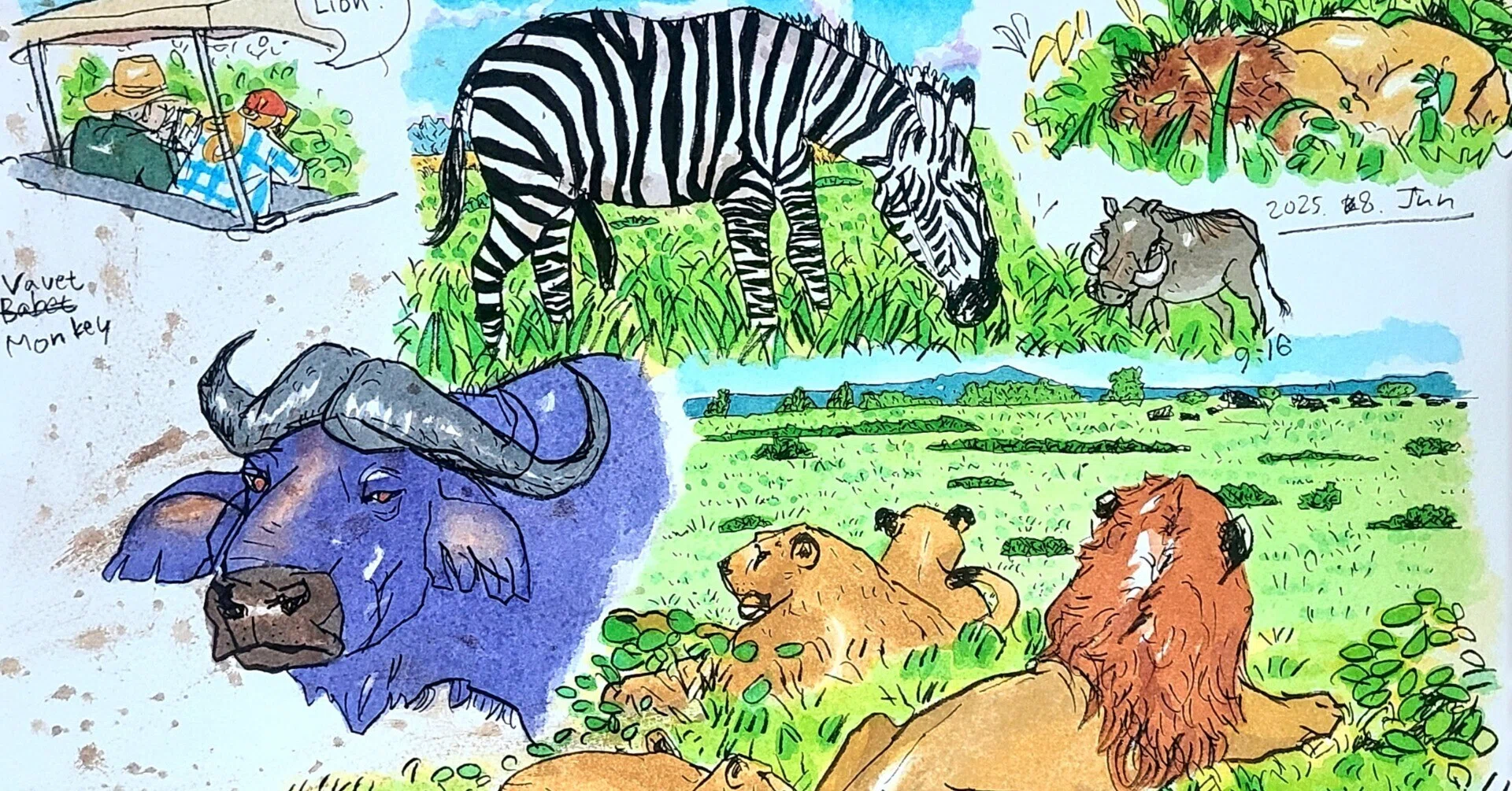 サバンナって、本当にあったんだ！｜かなり動物好きの絵描き | もんで