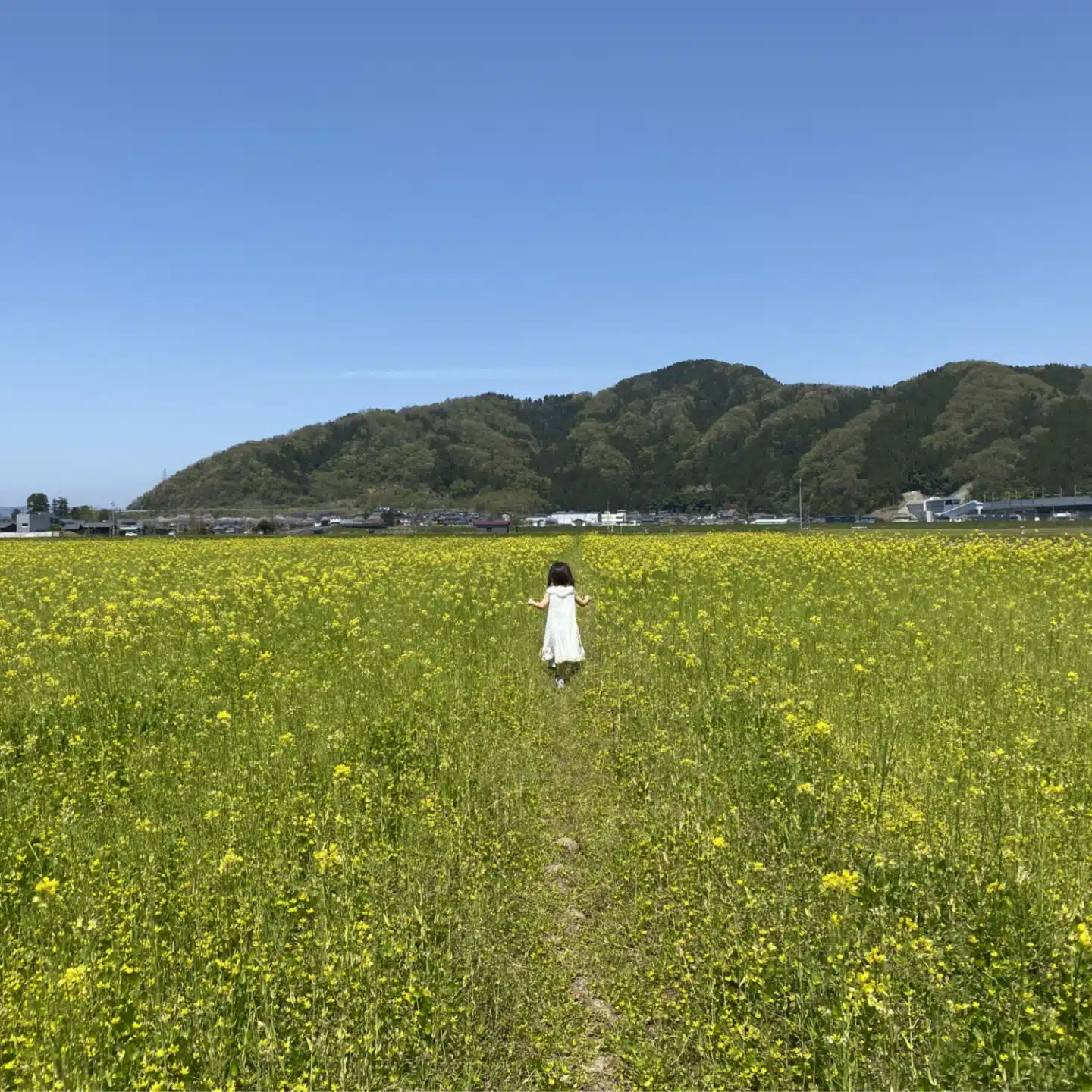 うたうたいkey
