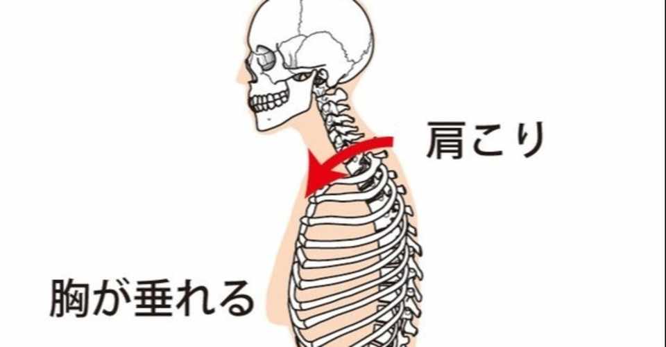 姿勢の歪みがもたらす影響について アスフィット 整体とトレーニングのお店のブログ Note