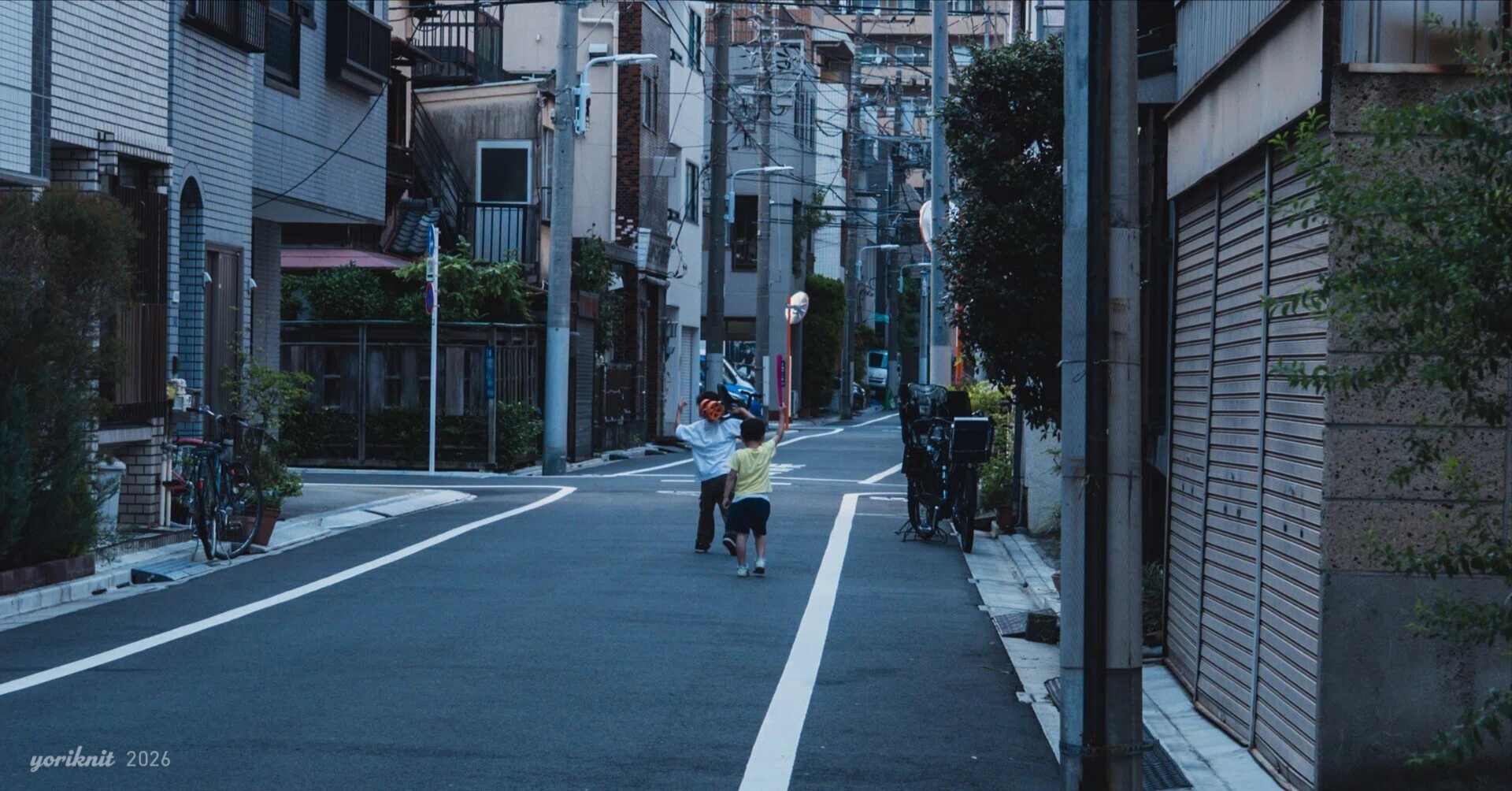 LEICA DG SUMMILUX 25mm F1.4 で撮る。 ｜ Lumix G100D｜yoriknit