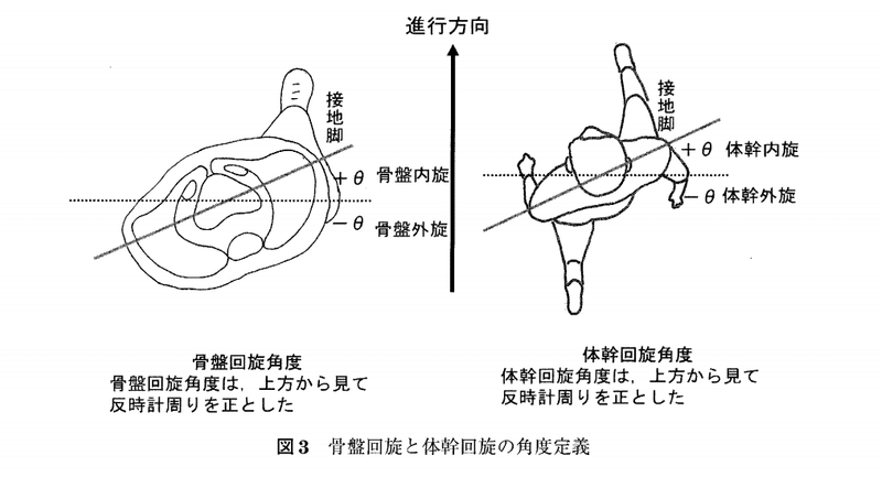 骨盤と体幹の回旋について 歩行と走行の違い さかもと 陸上競技トレーナー Note