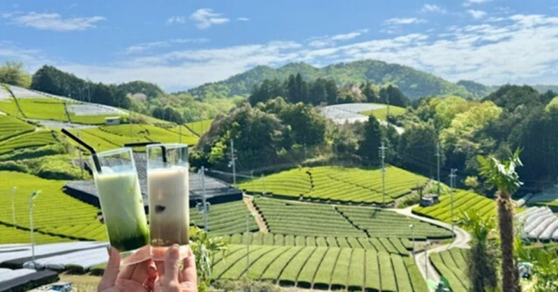 茶畑カフェで町おこし!宇治茶の4割を生産する京都の和束町 eyecatch
