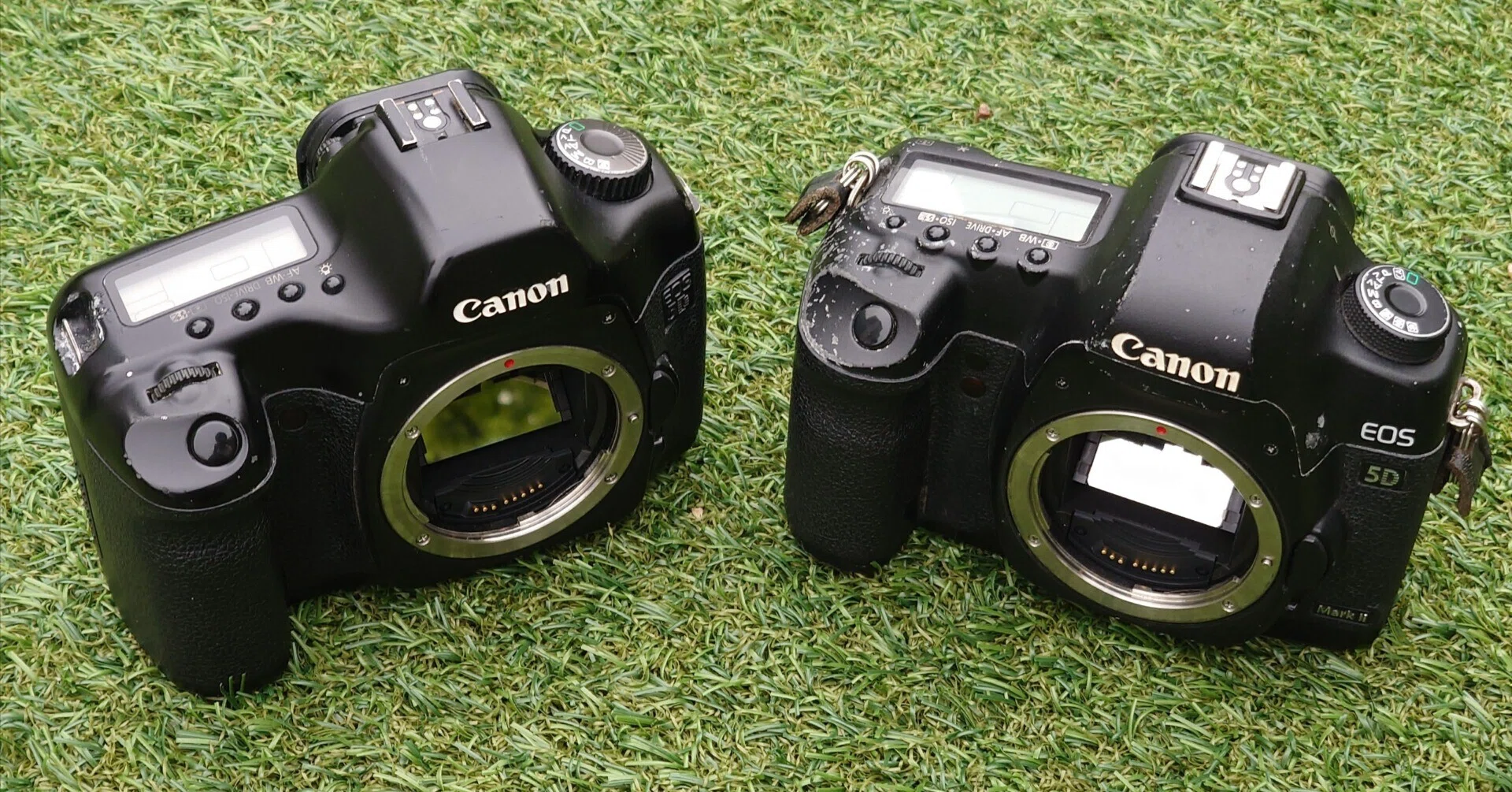 2度目のEOS 5D Mark IIを買った話｜utsusemigadgets
