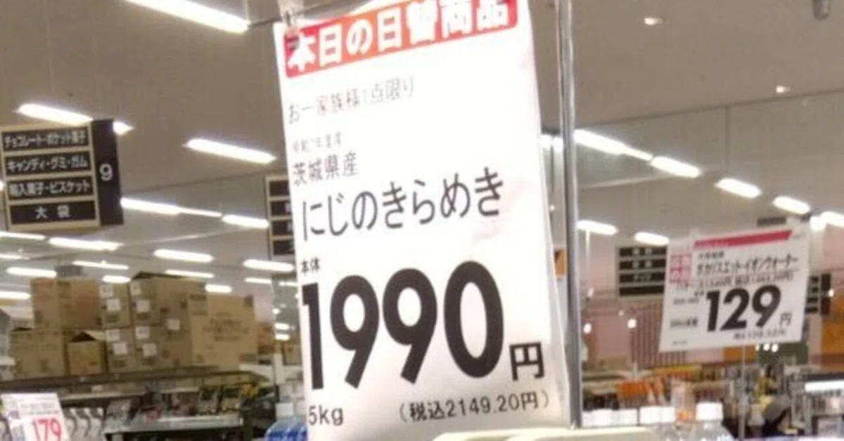 5kg of rice for under 2,000 yen!?｜はりす筆塗りぷらも