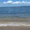 葵河 汀（あおいかわ てい）