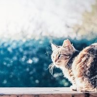 リバー ランズ スルー イット あらすじ 映画 リバーランズスルーイット ネタバレあらすじと結末 みんなの感想 Documents Openideo Com