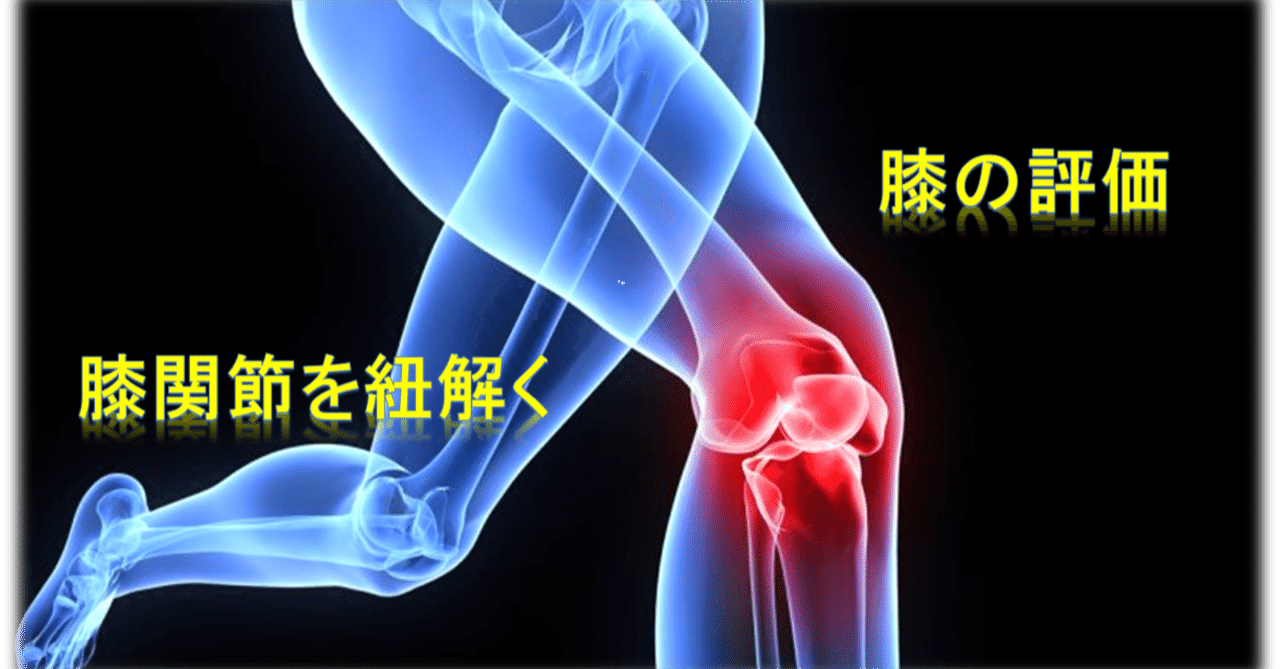 変形性膝関節症について（評価編）｜タカボーラボ