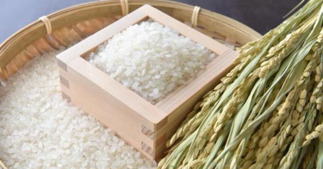 Is There Healthy Rice Love for Rice♡ The Best Staple Food for Japanese People! From Health ...