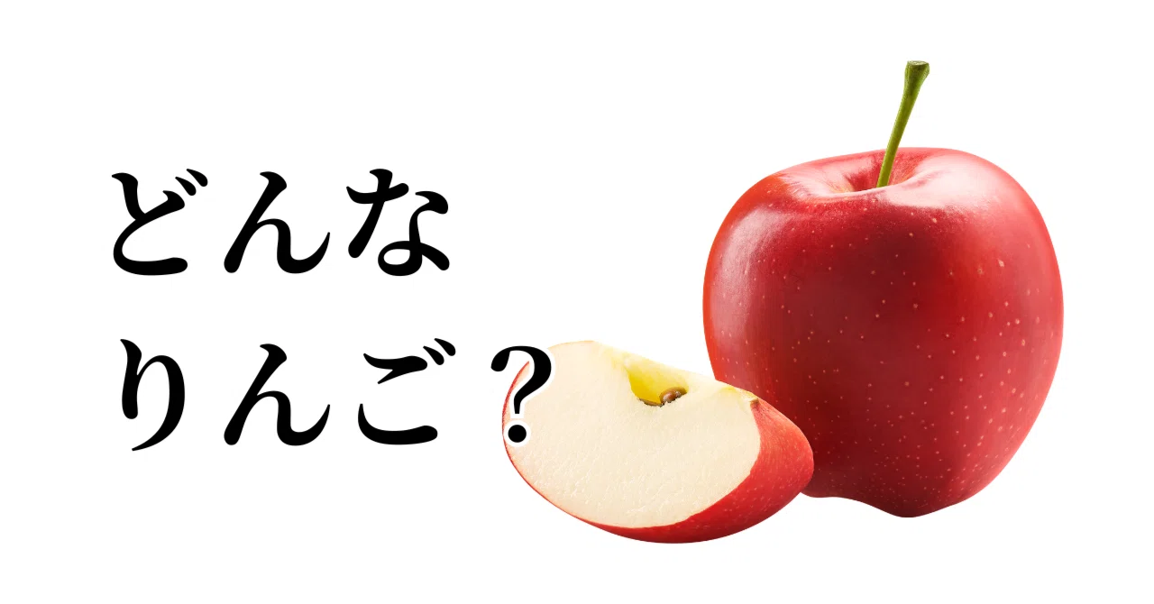 同じりんごでも、答えは変わる｜“正しい捉え方”を探してしまう人へ 