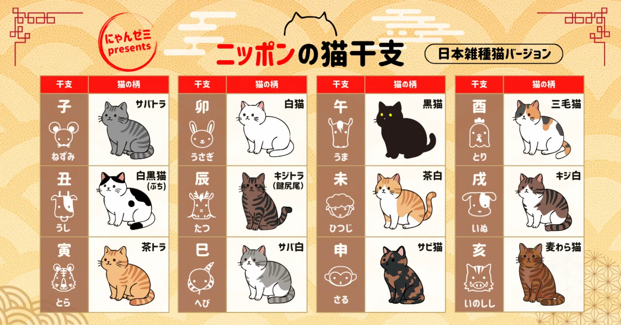 Definitive Edition] I Made Japanese Cat Zodiac Signs! The Twelve