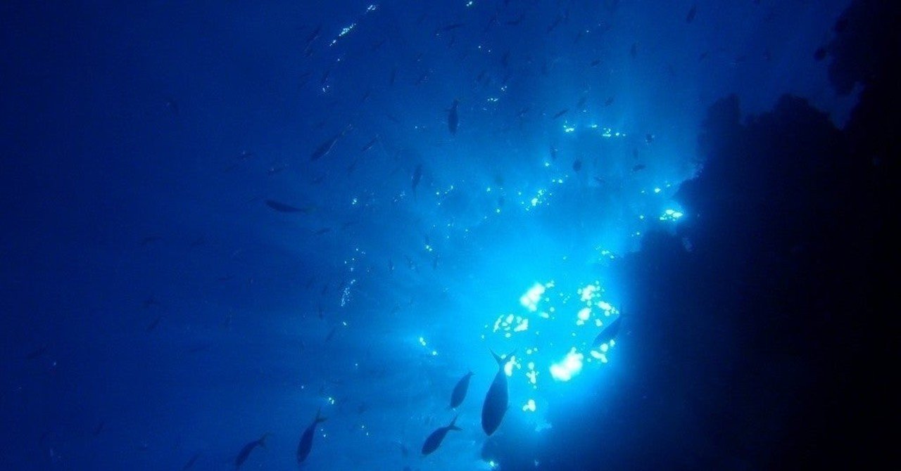 入水願い とbillie Eilish 休崎 Note 入水願い とbillie Eilish 休崎 Note