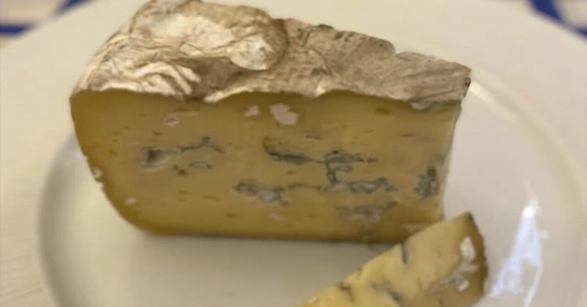 Cheese Encyclopedia Recommended by a Frenchman with Too Much Love for ...