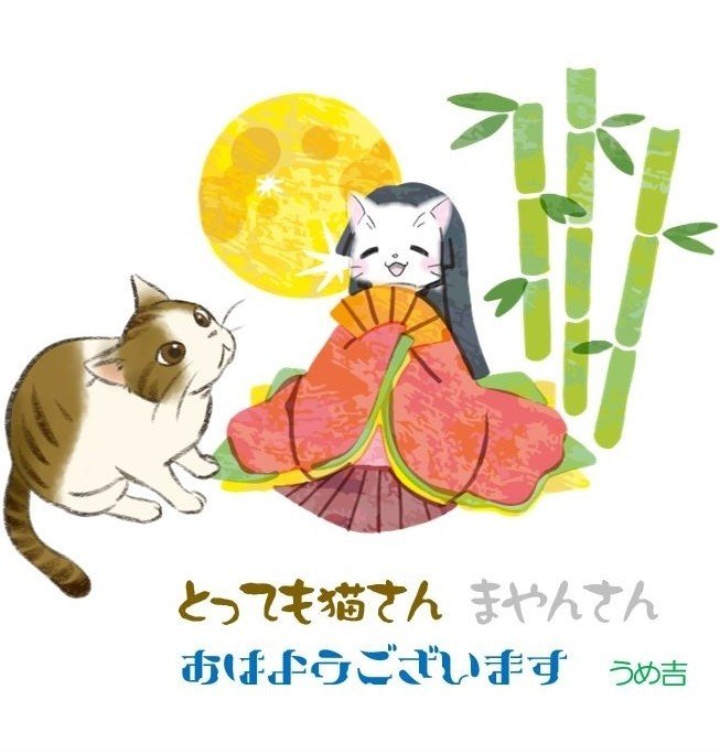 まやんさんはかぐや姫だった 大阪のうめ吉 Note