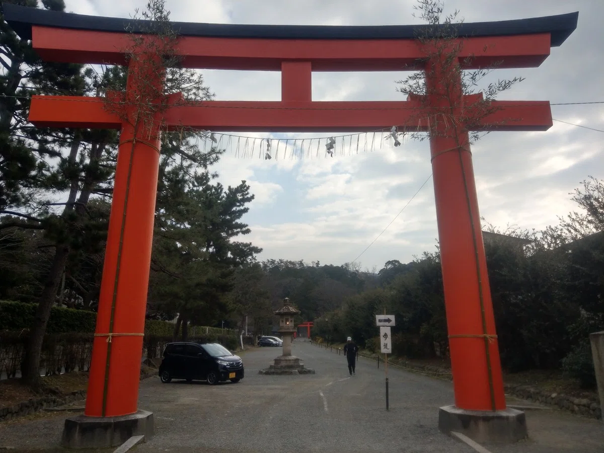 画像8