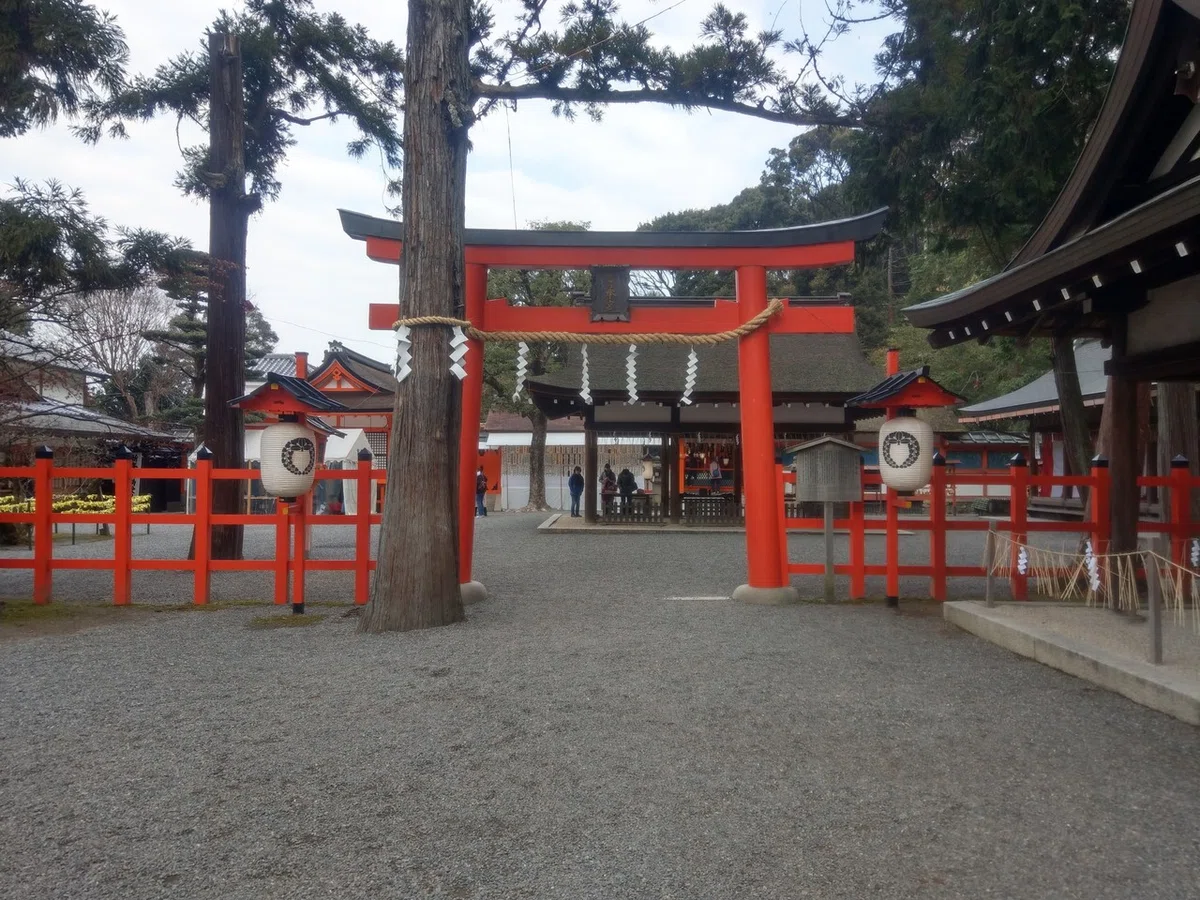 画像9
