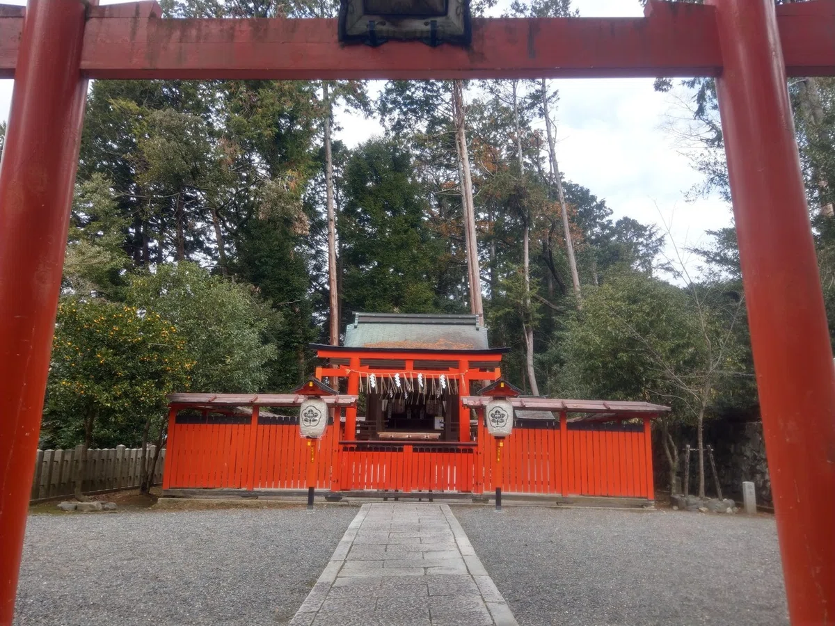 画像5