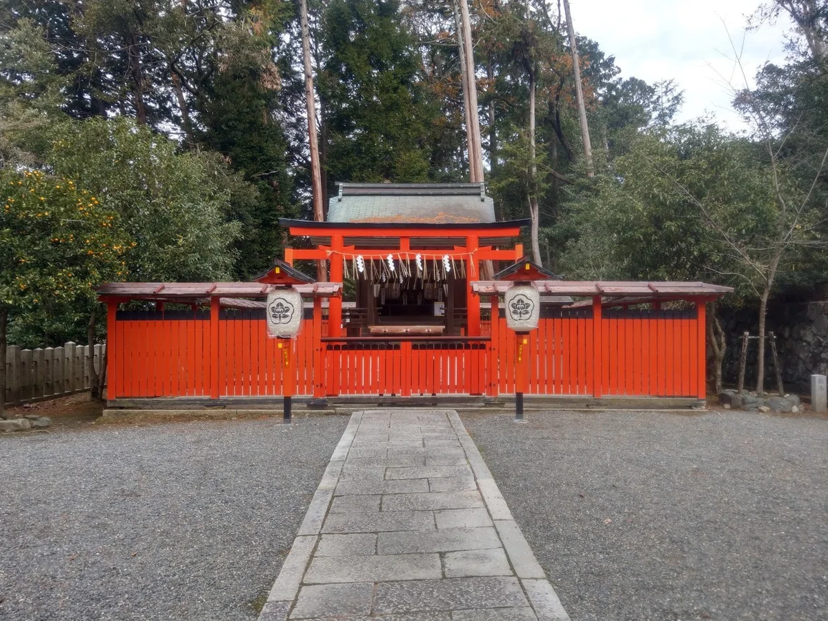 画像6