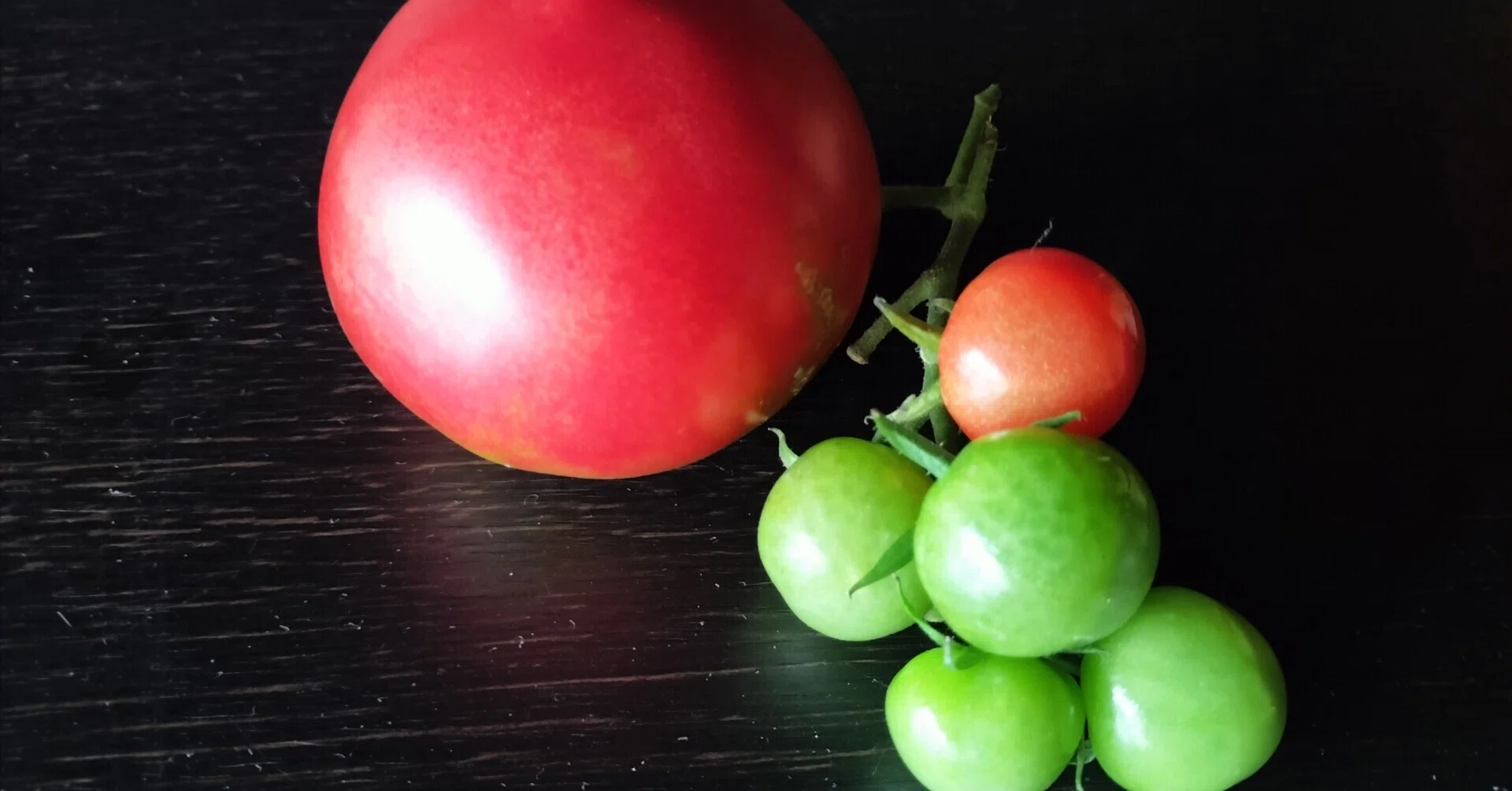 A refreshing, ultimate reward. Forest snack tomatoes｜68歳 元幸