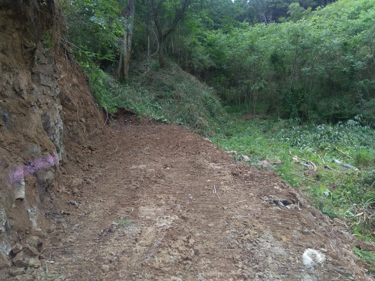 20200626沢渡手前2