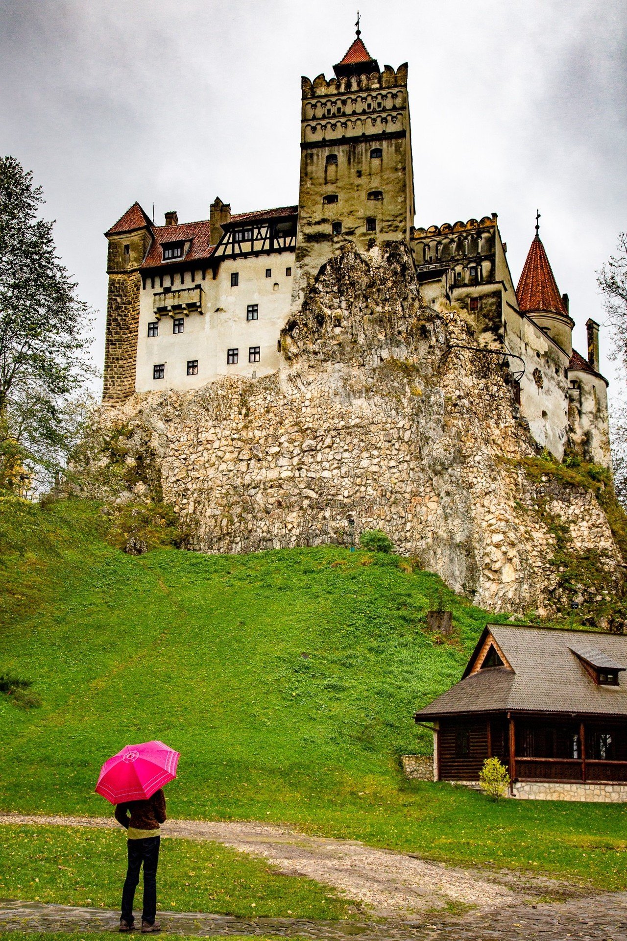 ドラゴンスケルトンタンカード トランシルバニアブラン城 ドラゴン