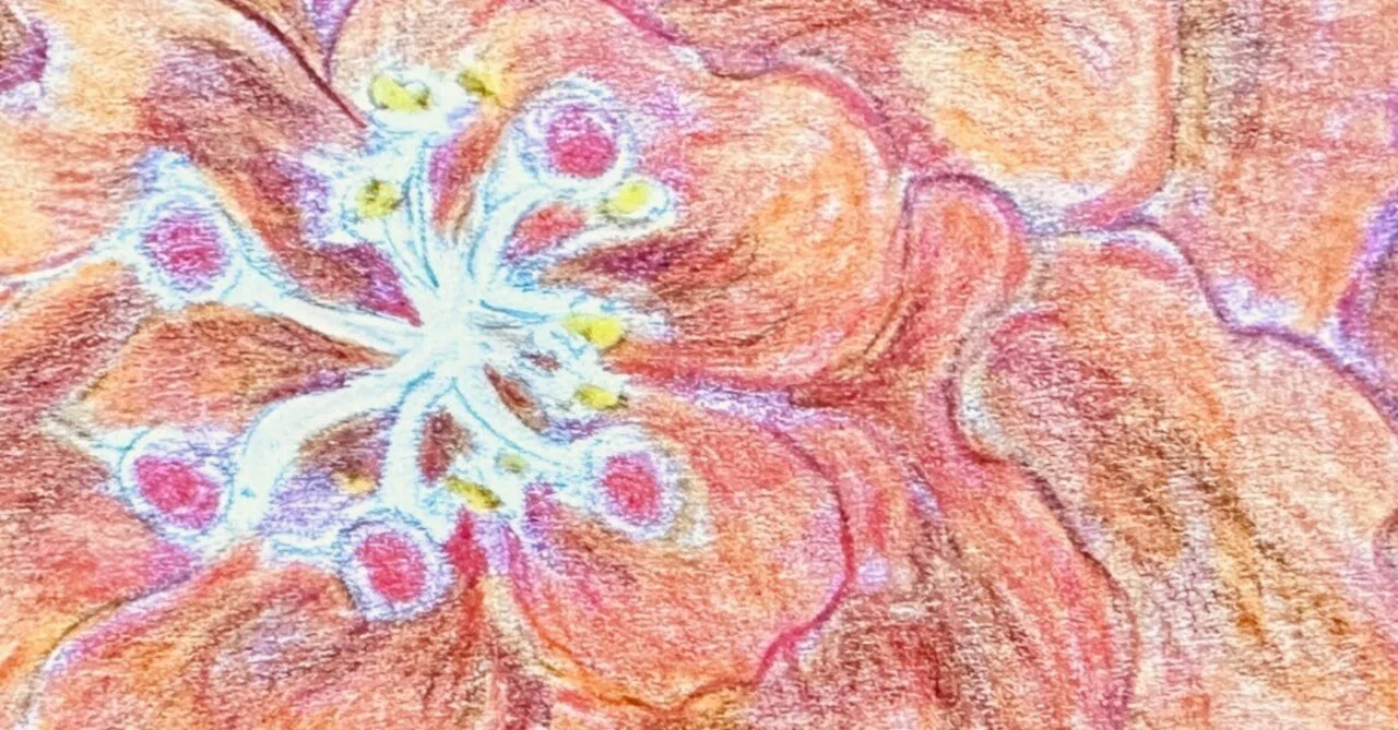 ハイビスカス。画家の作品、古典画水彩、最終値下げ。 きれい色のハイビスカス｜絵・人生・映画・那覇時々やんばる・妄想ビル