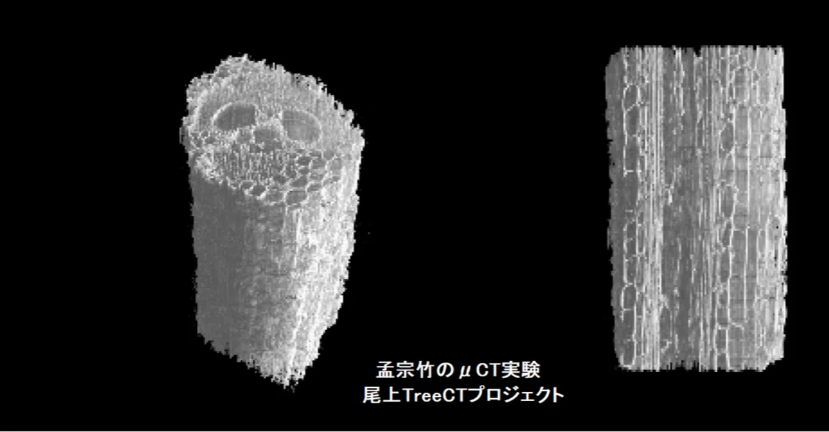 CT(原理編)｜sgk