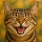 猫三郎