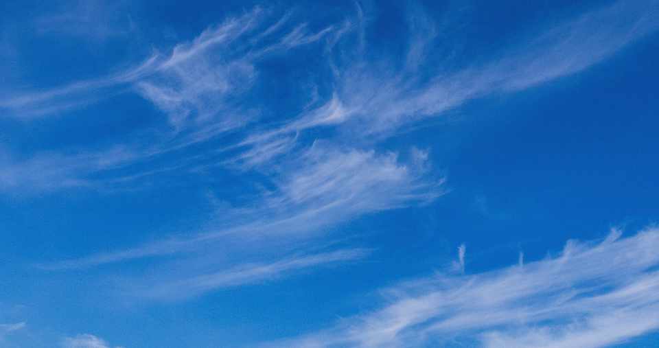 人生の分岐点 番外編 分岐点話 Verde Note