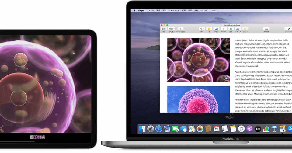 Ipadを液タブ化したら便利すぎた はるぱか Note