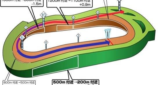 6/27(土) 東京競馬場 全レースコース分析+α 随時更新｜JRDB 競馬