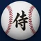 侍メジャー観戦ガイド