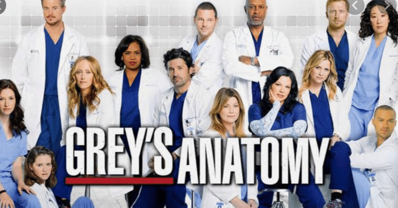 アラサーol グレイズアナトミー をシーズン１４までみた感想 海外移住を目指すアラサーol よっこ Note