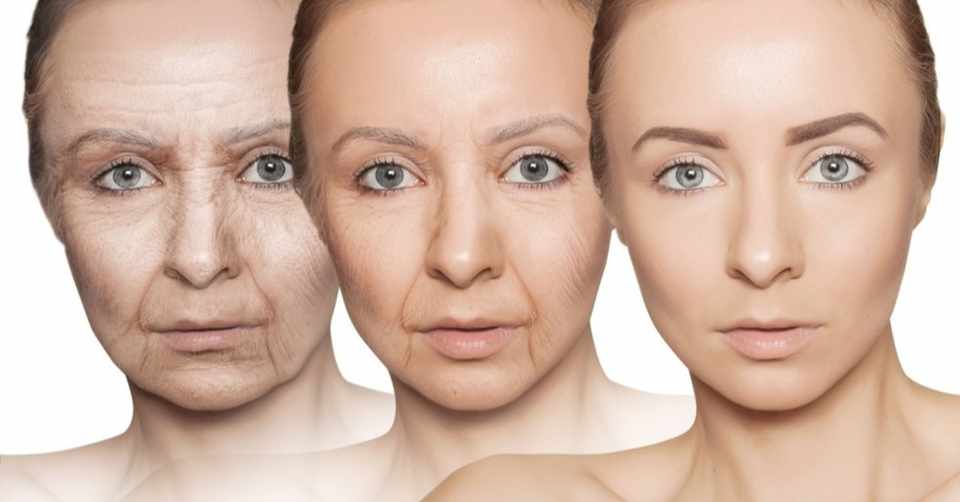 カラダ ストレスで肌のトラブルがおこったり メンタルがヤられたり ホルモンのバランスが崩れてしまうワケとその改善策 でーもん Note