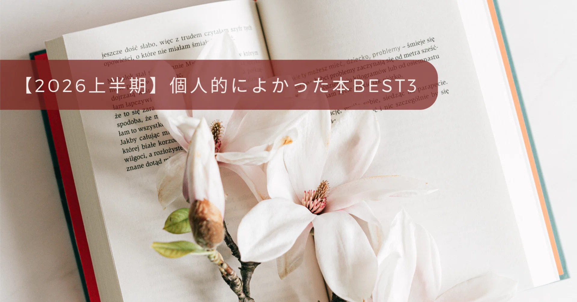2026上半期best book】私的読んでよかった本BEST3｜dada