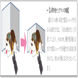 テスト慣れ すると勉強は楽しい 学習塾チェックマン Note