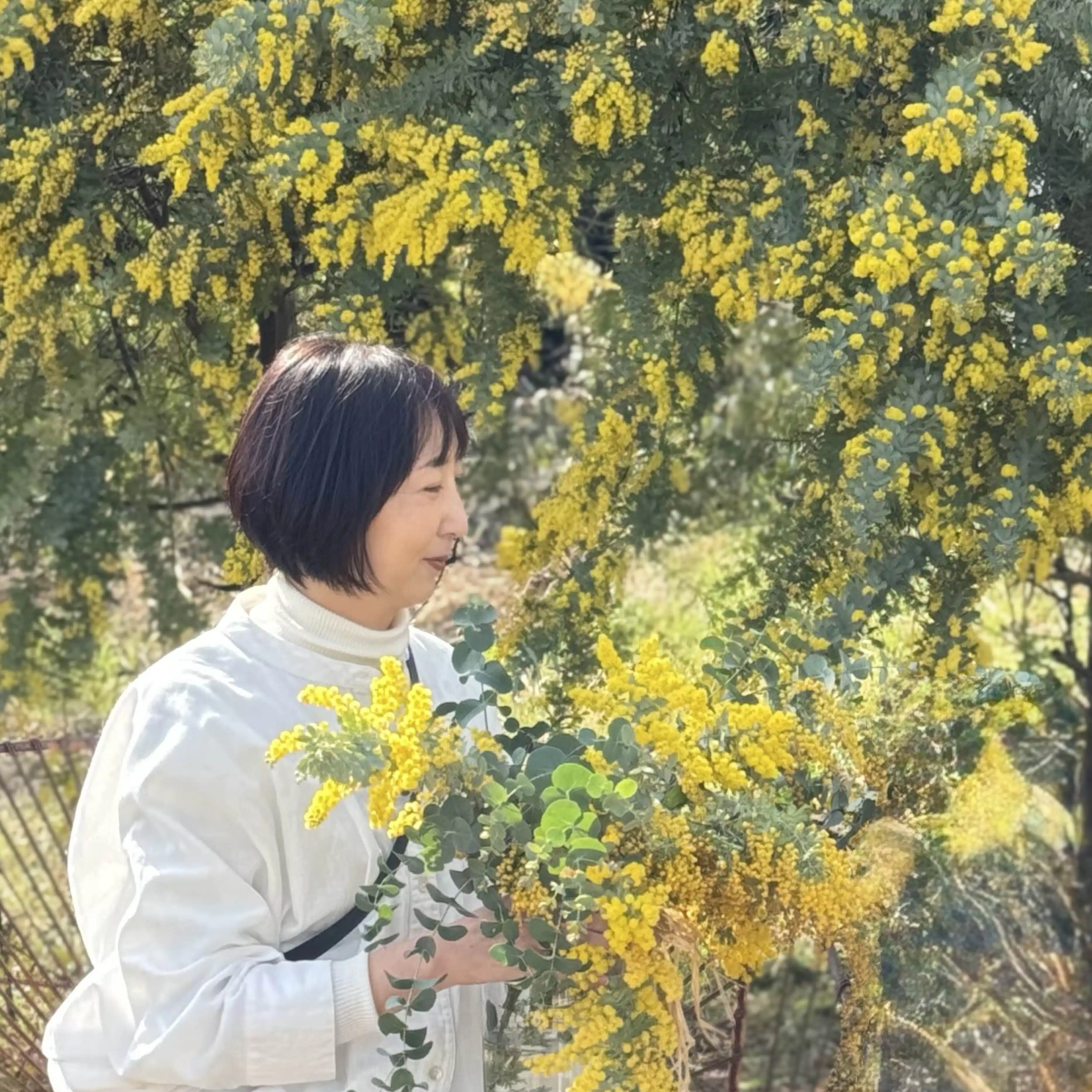 エリンキ
