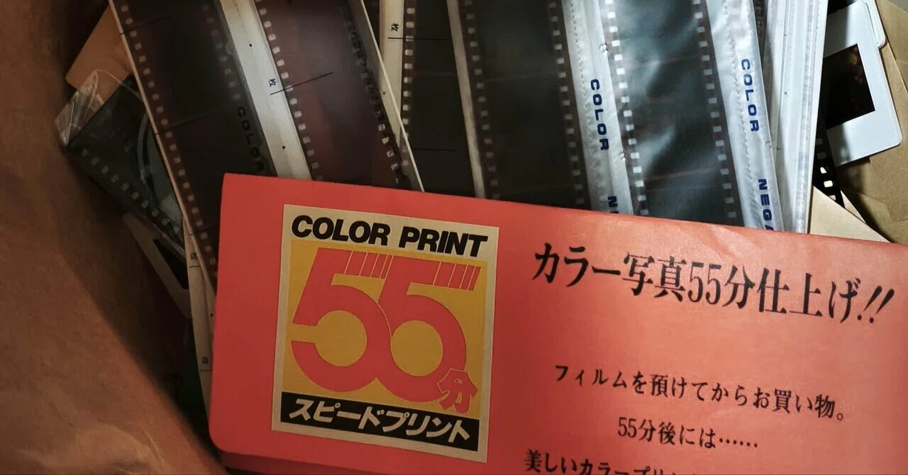 断捨離」=「終活」というお年頃なのだ｜NekoSafari